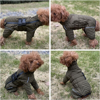 Pet Outdoor Wear Water-Repellent Coating Breathable & Lightweight Windproof 