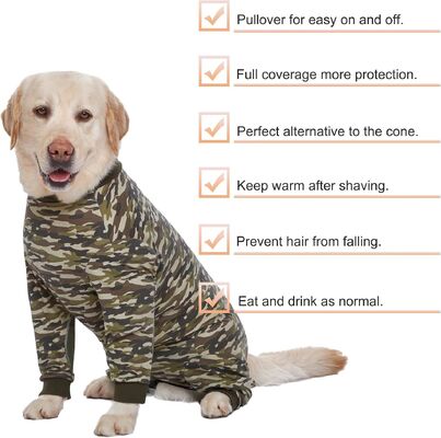 Breathable Fabric Dog Clothes Orthopedic Eco-Certified Customizable