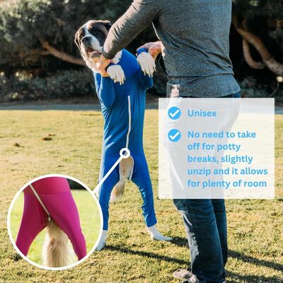 Anti-Allergy Static-Proof Dog Clothes Antibacterial Fabric UV Protection