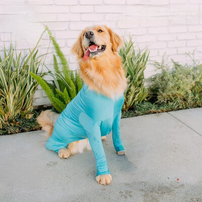 Anti-Allergy Static-Proof Dog Clothes Antibacterial Fabric UV Protection