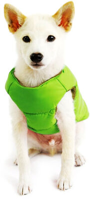 Pet-Friendly Certification Fluorescent-Free Dog Clothes Adjustable