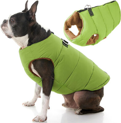 Pet-Friendly Certification Fluorescent-Free Dog Clothes Adjustable
