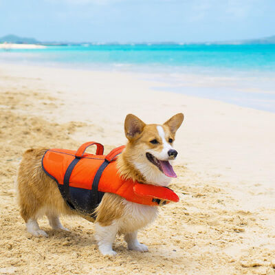 Portable Outdoor Dog Life Jacket: Swim - Safe Pet Clothing for Large Breeds