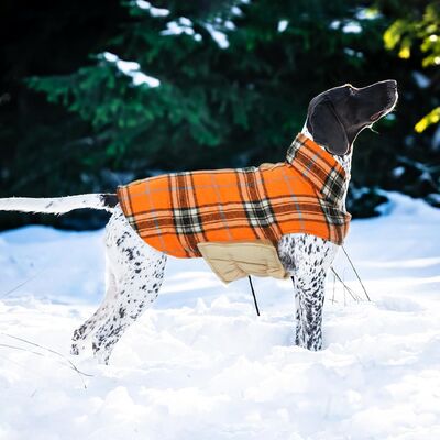 Waterproof Thickened & Insulated Pet Outdoor Wear Color-Blocking Design