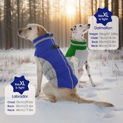 Quick-Dry Fabric Pet Outdoor Wear Adjustable Sizing Breathable & Lightweight