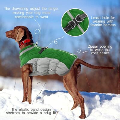 Quick-Dry Fabric Pet Outdoor Wear Adjustable Sizing Breathable & Lightweight