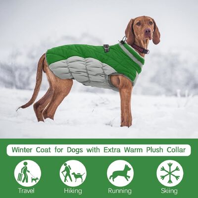 Quick-Dry Fabric Pet Outdoor Wear Adjustable Sizing Breathable & Lightweight