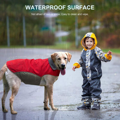 Pet Outdoor Wear Adjustable Sizing Windproof Breathable & Lightweight