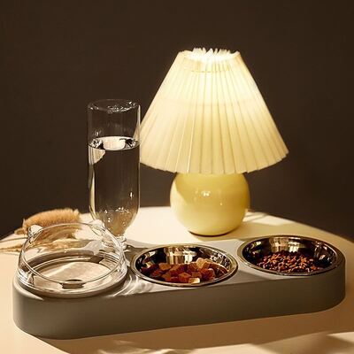 Pet Drinking Machine Stainless Steel Base Portable Design Carbon Filter