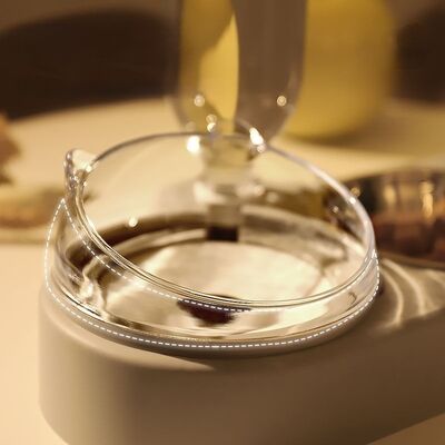 Pet Drinking Machine Stainless Steel Base Portable Design Carbon Filter