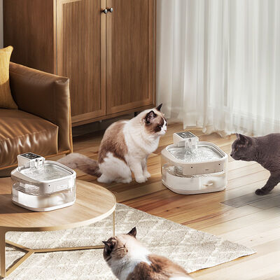 Pet Drinking Machine Stainless Steel Base Child Safety Lock Portable Design