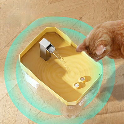 Pet Drinking Machine Customizable Flow Rate Low Voltage Operation
