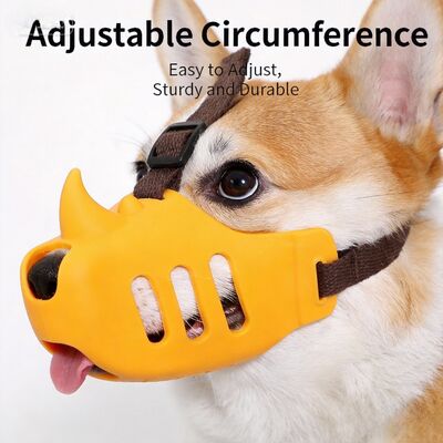 Innovative Pet Training Equipment Equipped with Multiple Feedback Modes to Enhance Communication Between Trainer and Pet