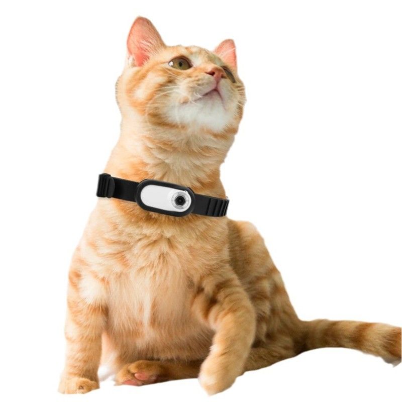 HD 1080P Collar Mounted Pet Camera Battery Rechargeable Cat Dog Neck Camera