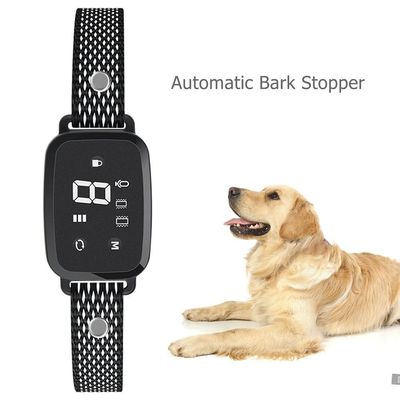 Custom Design Dog Agility Electric Training Collar Bluetooth With Long Battery Life