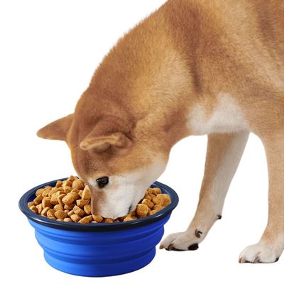 Outdoor Portable TPE Folding Dog Bowl Foldable Pet Drinking Water Bowl Hanging
