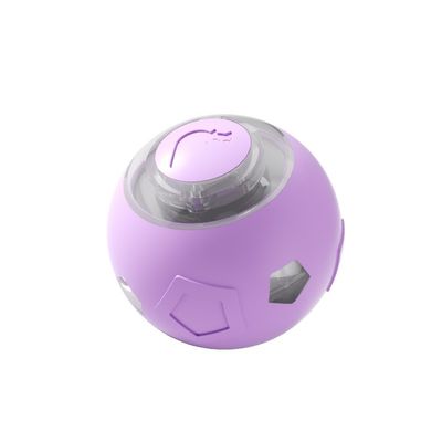 Eco Friendly Pet Training Ball Waterproof Water Resistant Multi Sport Training
