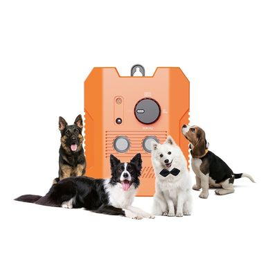 Voice Control Dog Training Shock Collar Rechargeable Electric Shock Dog Collar