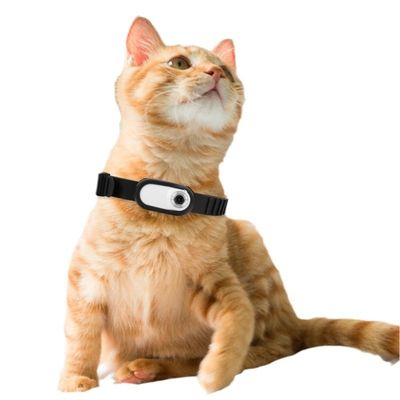 HD 1080P Collar Mounted Pet Camera Battery Rechargeable Cat Dog Neck Camera