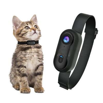 Small Night Vision Pet Wearable Camera Collar HD 1080P Two Way Audio Voice Control