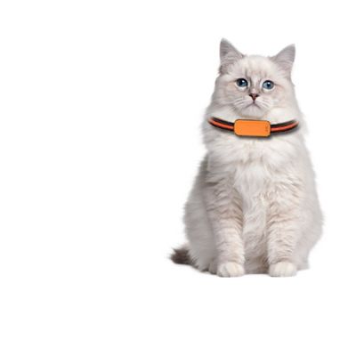 Voice Guidance RFID Pet Smart GPS Tracker Long Range Detection Global Coverage Cellular