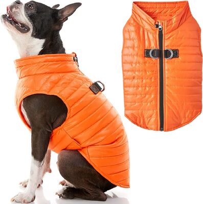 Adjustable Waistband Glow-in-the-Dark Dog  Clothes Winter Jacket