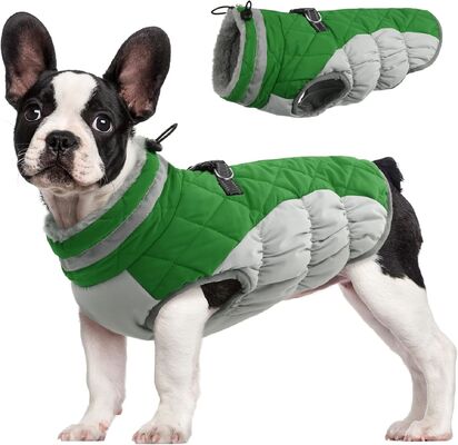 Quick-Dry Fabric Pet Outdoor Wear Adjustable Sizing Breathable & Lightweight