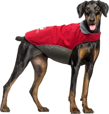 Pet Outdoor Wear Adjustable Sizing Windproof Breathable & Lightweight